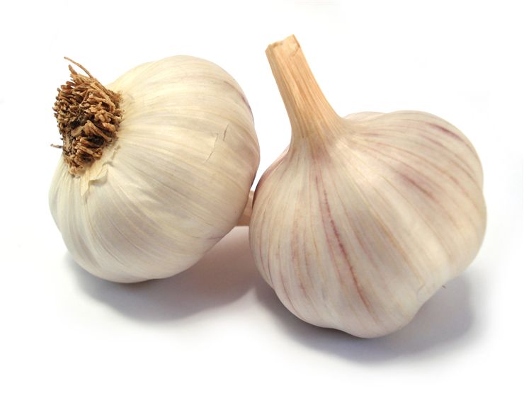 Picture Of Garlic For Vampires