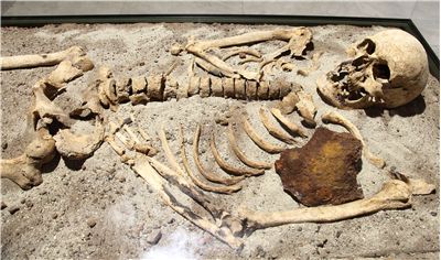 Picture Of Vampire Skeleton Stabbed With Iron Rod